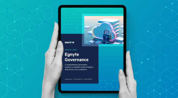 Egnyte Governance Overview