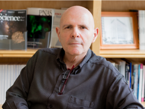 Samuel Stupp, Ph.D.Board of Trustees Professor of Materials Science and Engineering, Chemistry, Medicine, and Biomedical Engineering