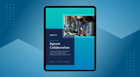 Egnyte Collaboration