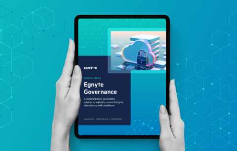 Egnyte Governance 